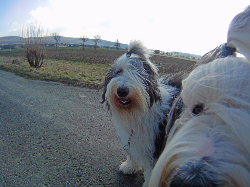 2000_0203_211859_012