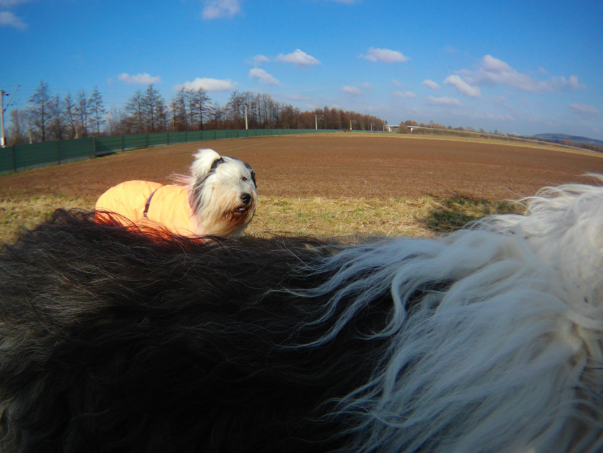 2000_0203_214847_092