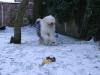 2010-11-26 Erster Schnee_Weihnachtsquitschie