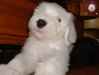 barney0407a.jpg