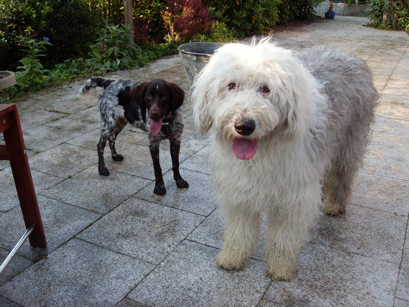 Fritz-mit-Freundin
